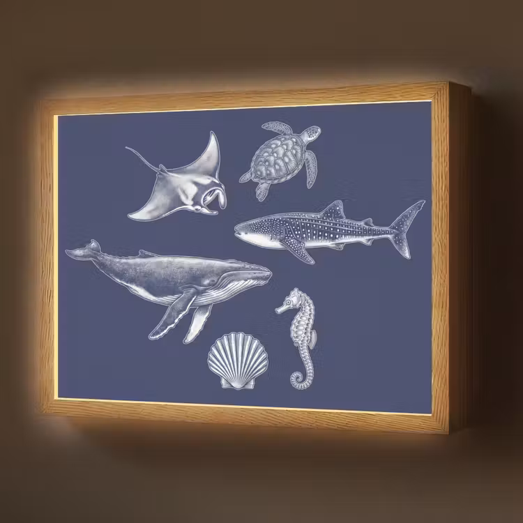 Dieren - Zeeleven - Oceaan - Graveren - Blauw Light Box met batterij (Wandlamp) middel -z3d_website