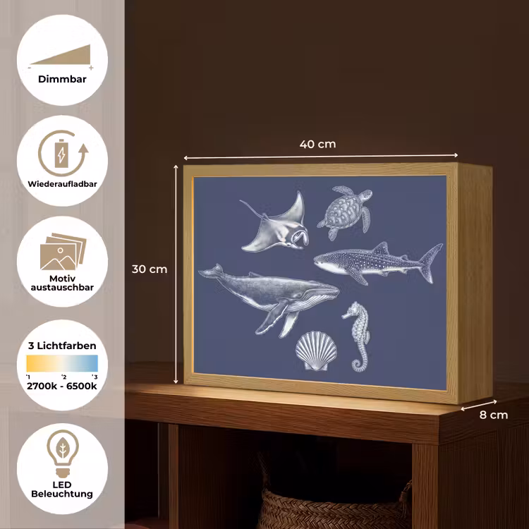 Dieren - Zeeleven - Oceaan - Graveren - Blauw Light Box met batterij (Wandlamp) middel -USP_websiteoverzichtDE