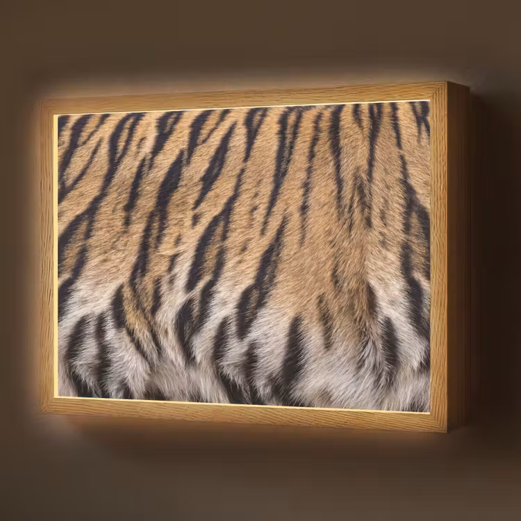 Tijgervacht - Klassiek - Zwart Light Box met batterij (Wandlamp) middel -z3d_website