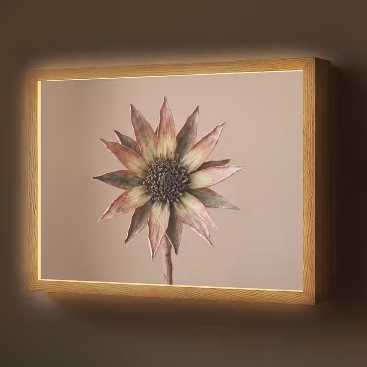 Droogbloem - Protea - Vintage - Beige - Rustiek Light Box met batterij (Wandlamp) middel -z3d_website