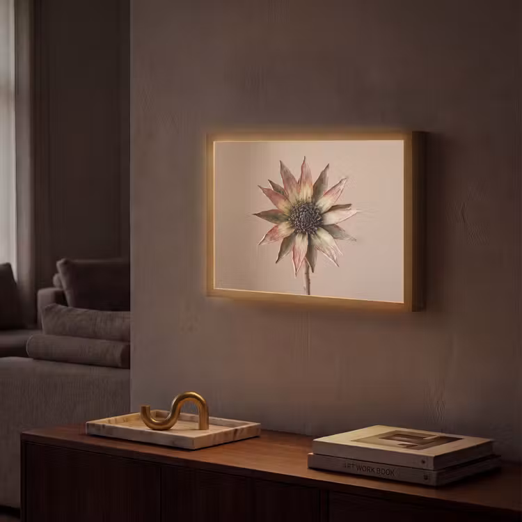 Droogbloem - Protea - Vintage - Beige - Rustiek Light Box met batterij (Wandlamp) middel -sfeer1
