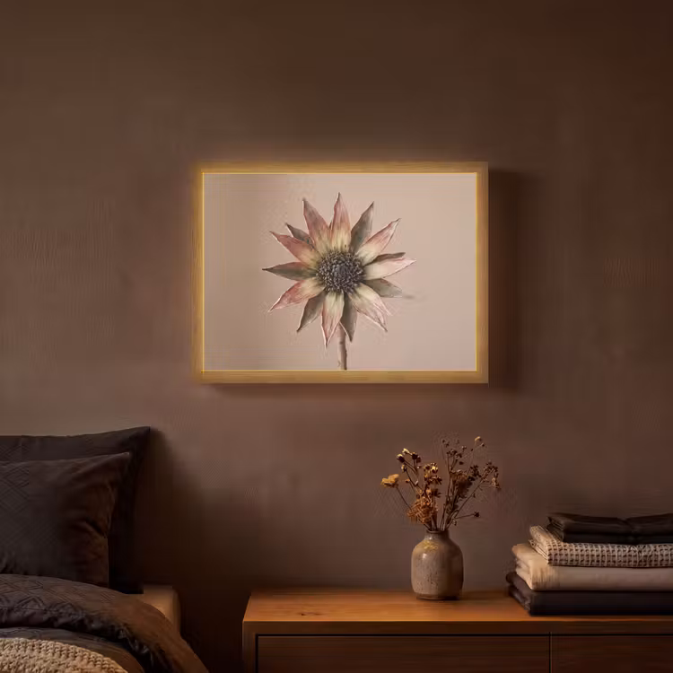 Droogbloem - Protea - Vintage - Beige - Rustiek Light Box met batterij (Wandlamp) middel -sfeer4