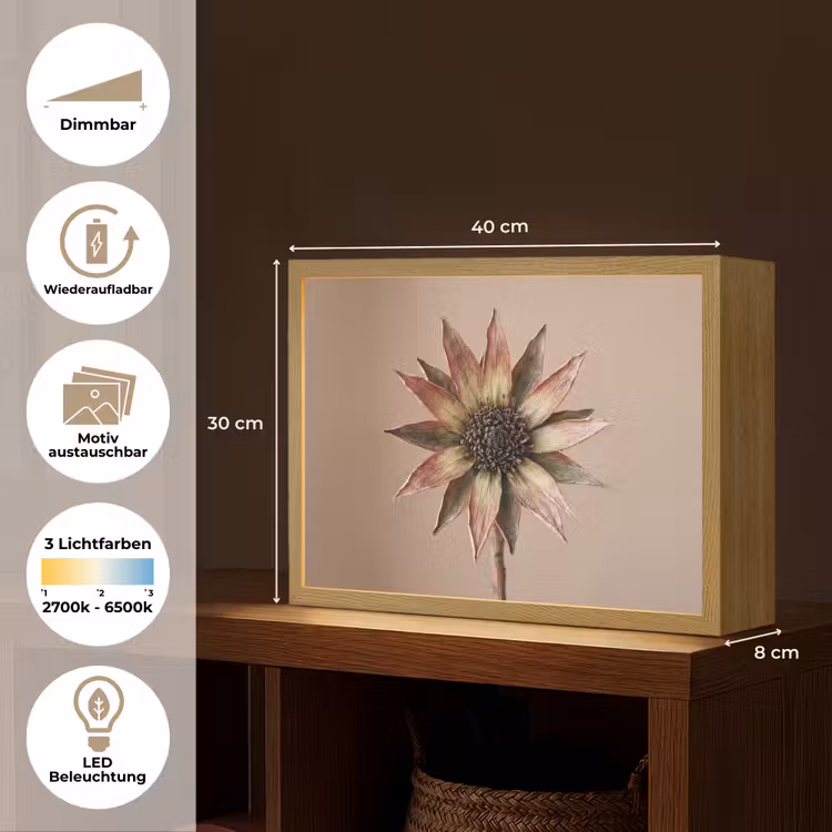 Droogbloem - Protea - Vintage - Beige - Rustiek Light Box met batterij (Wandlamp) middel -USP_websiteoverzichtDE