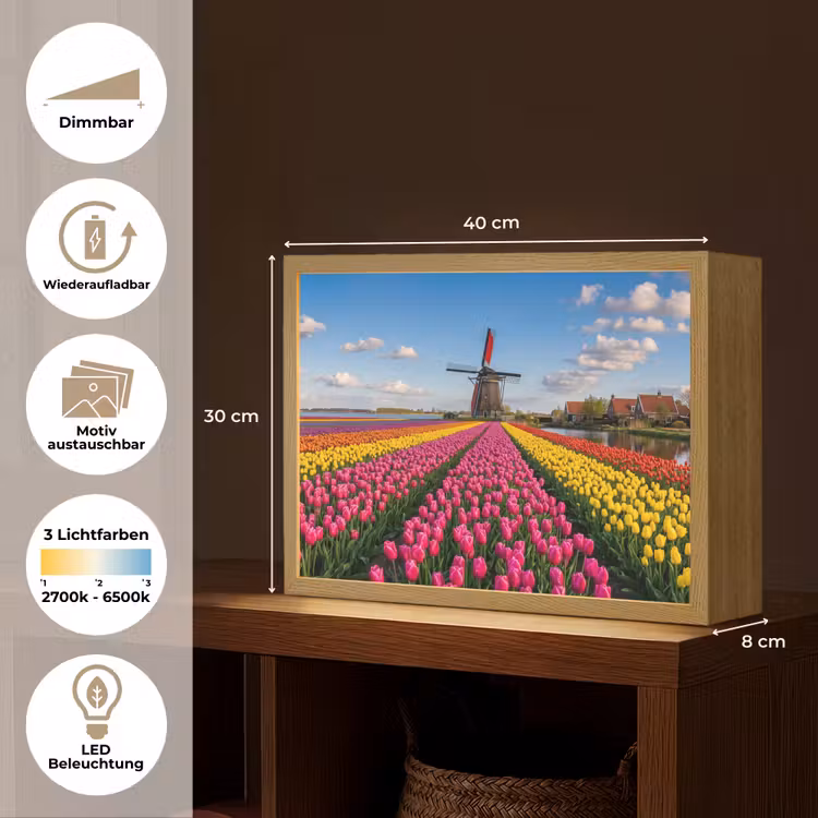 Tulpen - Holland - Molen - Kleurrijk Light Box met batterij (Wandlamp) middel -USP_websiteoverzichtDE