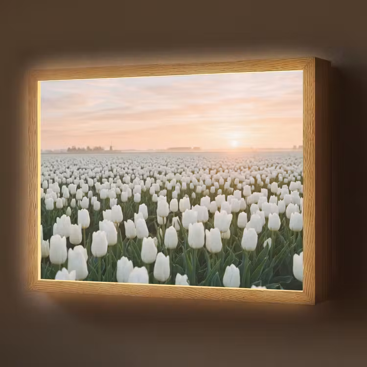 Tulpen - Landschap - Wit Light Box met batterij (Wandlamp) middel -z3d_website