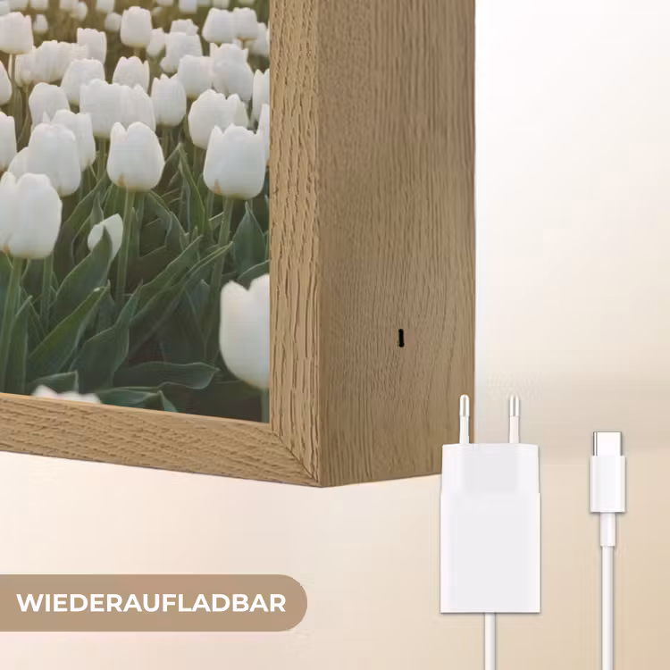 Tulpen - Landschap - Wit Light Box met batterij (Wandlamp) middel -USP_websiteoplaadbaarDE