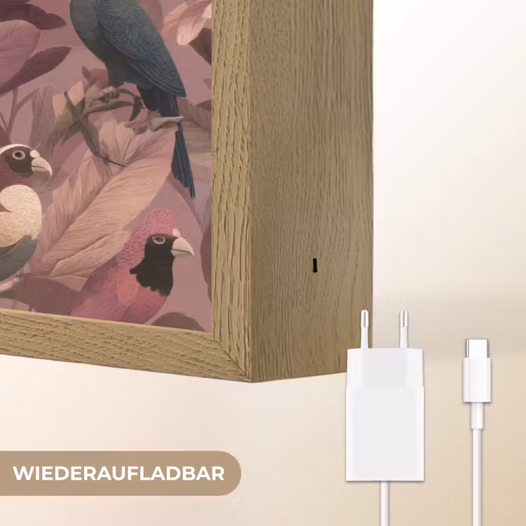 Vogels - Bladeren - Roze Light Box met batterij (Wandlamp) middel 907 -USP_websiteoplaadbaarDE