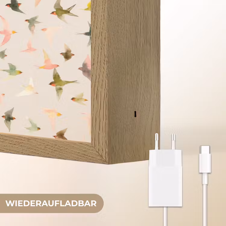 Vogels - Vliegen - Kleurrijk Light Box met batterij (Wandlamp) middel 907 -USP_websiteoplaadbaarDE