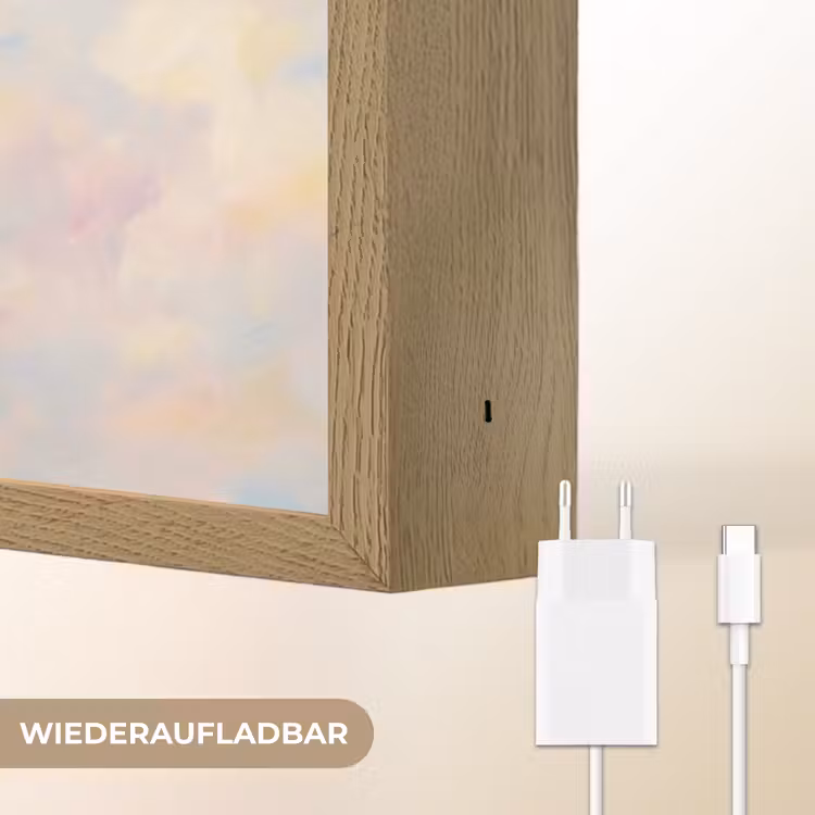 Vogel - Vliegend - Lucht - Modern - Pastel Light Box met batterij (Wandlamp) middel -USP_websiteoplaadbaarDE
