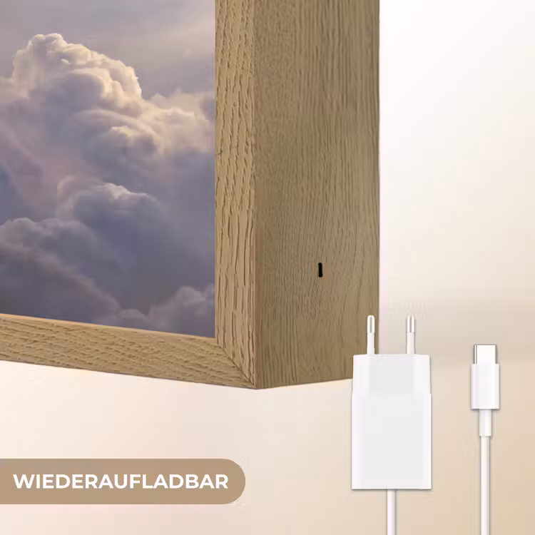 Vogel - Vliegend - Natuur - Wit - Wolken Light Box met batterij (Wandlamp) middel -USP_websiteoplaadbaarDE