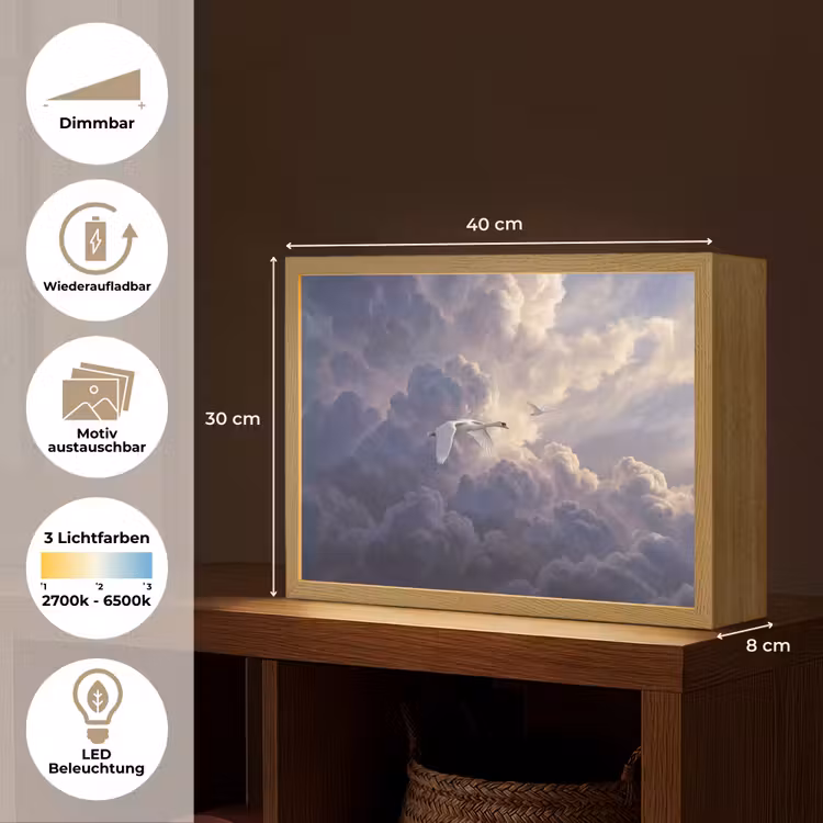 Vogel - Vliegend - Natuur - Wit - Wolken Light Box met batterij (Wandlamp) middel -USP_websiteoverzichtDE