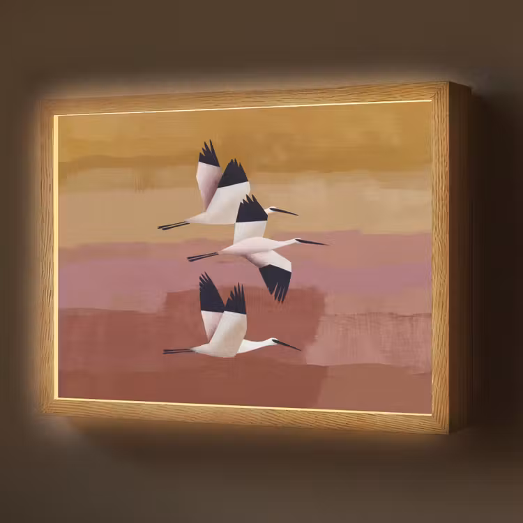 Vogels - Snavel - Abstract Light Box met batterij (Wandlamp) middel -z3d_website