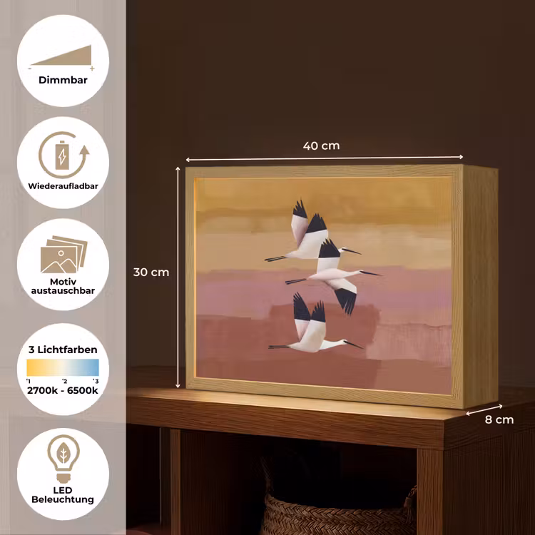 Vogels - Snavel - Abstract Light Box met batterij (Wandlamp) middel -USP_websiteoverzichtDE