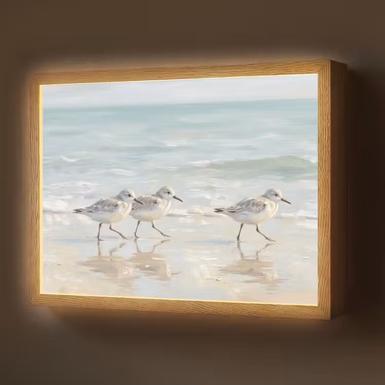 Vogels - Strand - Zee Light Box met batterij (Wandlamp) middel -z3d_website