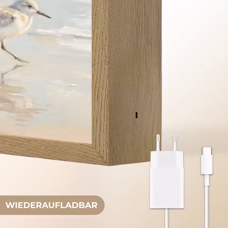 Vogels - Strand - Zee Light Box met batterij (Wandlamp) middel -USP_websiteoplaadbaarDE