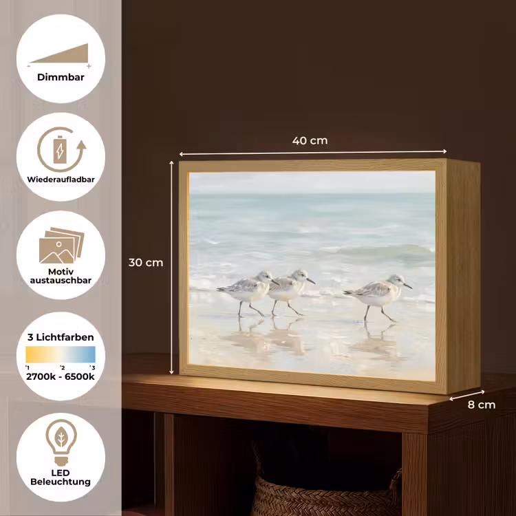 Vogels - Strand - Zee Light Box met batterij (Wandlamp) middel -USP_websiteoverzichtDE