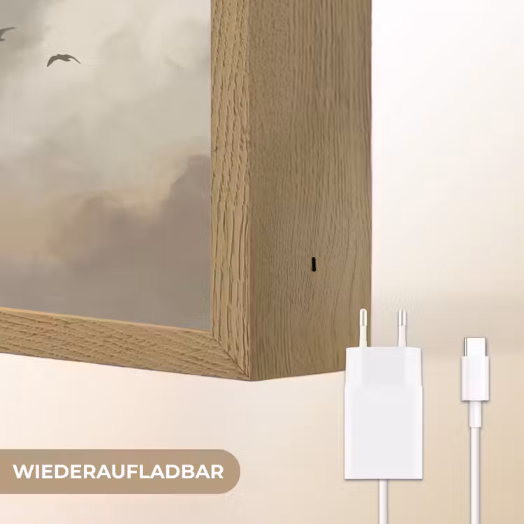 Vogel - Wolken - Natuur - Modern - Grijs Light Box met batterij (Wandlamp) middel -USP_websiteoplaadbaarDE