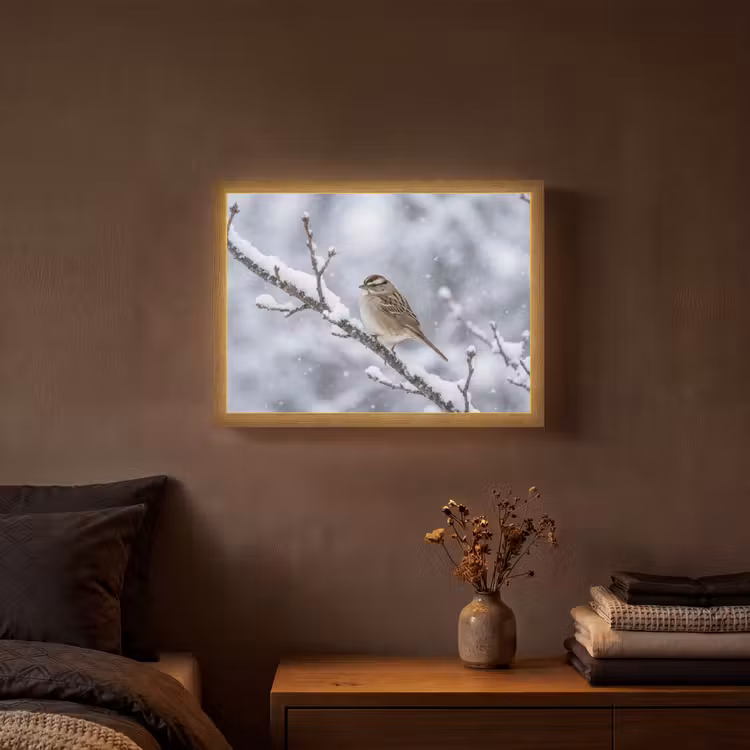 Vogel - Tak - Sneeuw - Winter Light Box met batterij (Wandlamp) middel -sfeer4