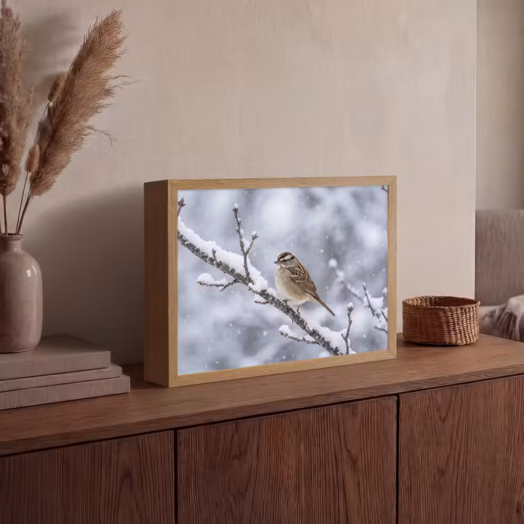 Vogel - Tak - Sneeuw - Winter Light Box met batterij (Wandlamp) middel -sfeer2