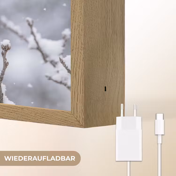 Vogel - Tak - Sneeuw - Winter Light Box met batterij (Wandlamp) middel -USP_websiteoplaadbaarDE