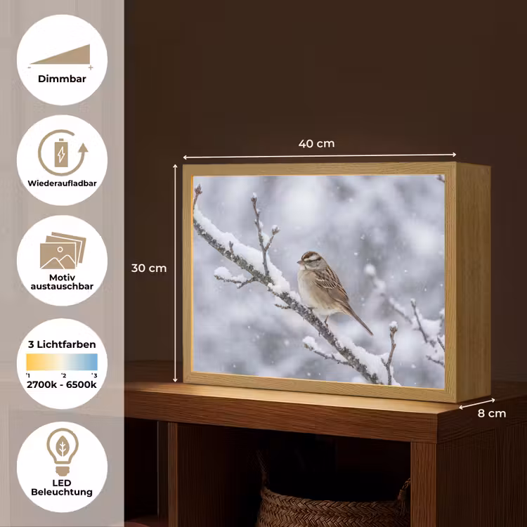 Vogel - Tak - Sneeuw - Winter Light Box met batterij (Wandlamp) middel -USP_websiteoverzichtDE