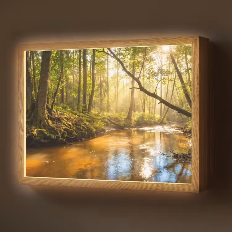 Bos - Beek - Zonlicht - Natuur - Groen Light Box met batterij (Wandlamp) middel -z3d_website