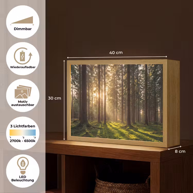 Bos - Gras - Zonlicht Light Box met batterij (Wandlamp) middel -USP_websiteoverzichtDE