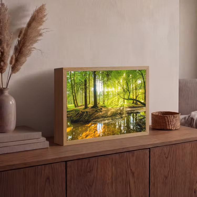 Bos - Landschap - Water - Bomen - Zon - Groen - Natuur Light Box met batterij (Wandlamp) middel -sfeer2