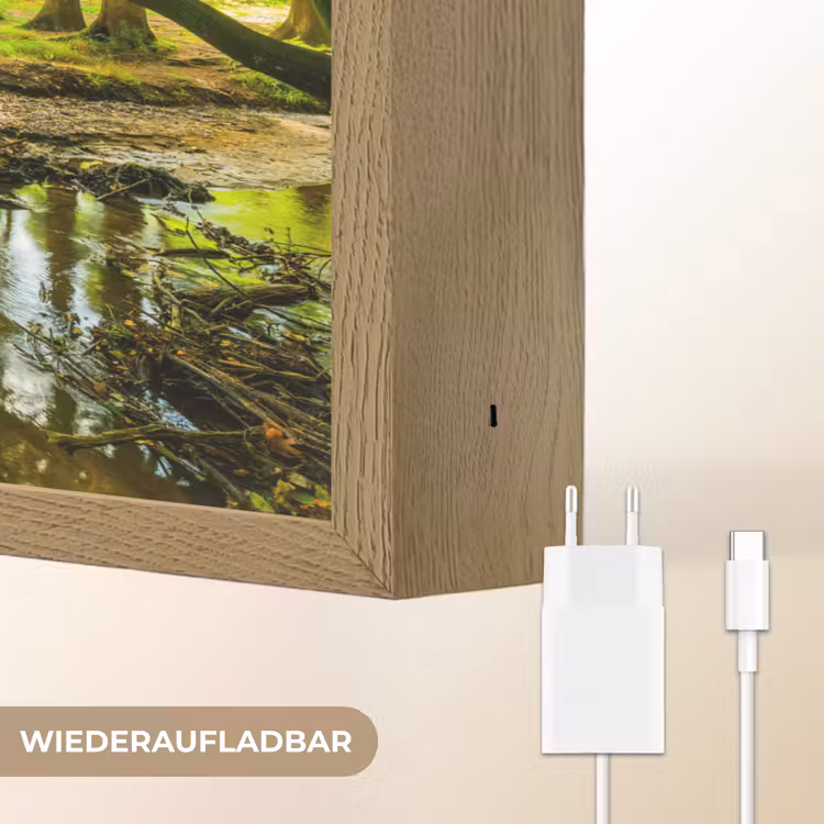 Bos - Landschap - Water - Bomen - Zon - Groen - Natuur Light Box met batterij (Wandlamp) middel -USP_websiteoplaadbaarDE