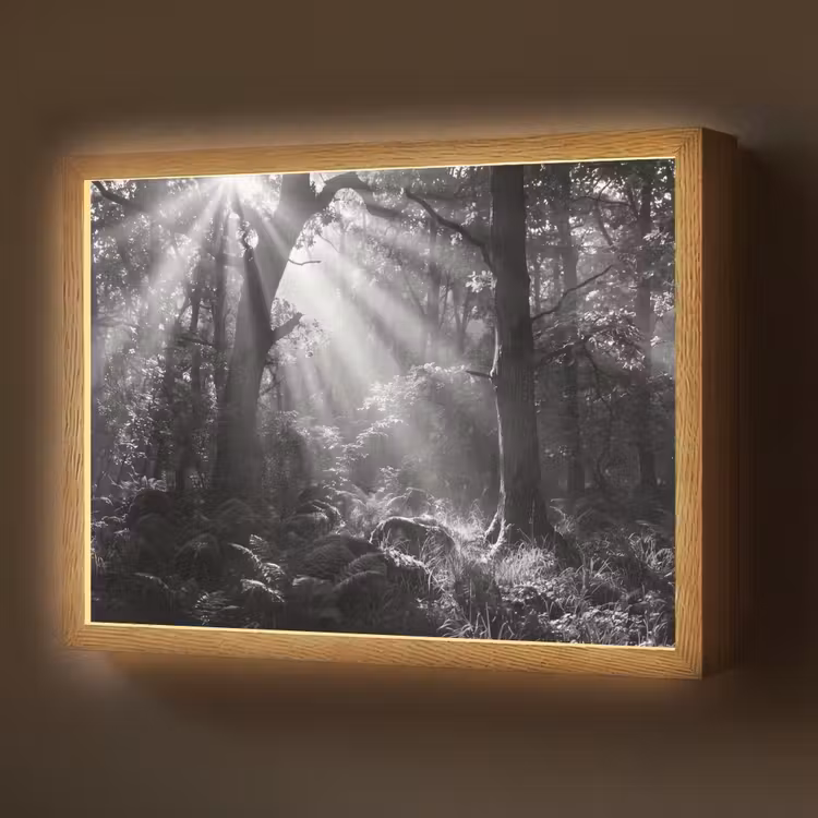 Bos - Lichtstralen - Natuur - Zwart-wit Light Box met batterij (Wandlamp) middel -z3d_website