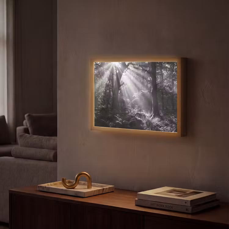 Bos - Lichtstralen - Natuur - Zwart-wit Light Box met batterij (Wandlamp) middel -sfeer1