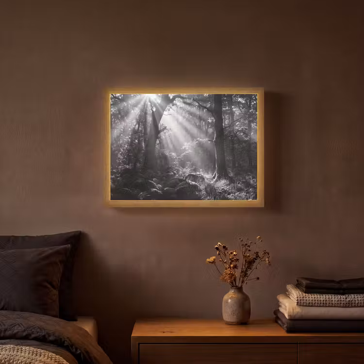 Bos - Lichtstralen - Natuur - Zwart-wit Light Box met batterij (Wandlamp) middel -sfeer4