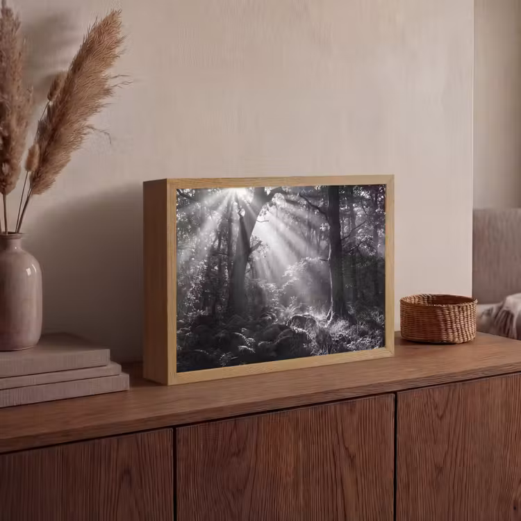 Bos - Lichtstralen - Natuur - Zwart-wit Light Box met batterij (Wandlamp) middel -sfeer2