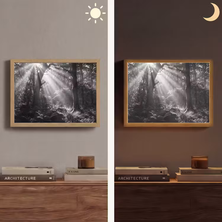 Bos - Lichtstralen - Natuur - Zwart-wit Light Box met batterij (Wandlamp) middel -sfeer3