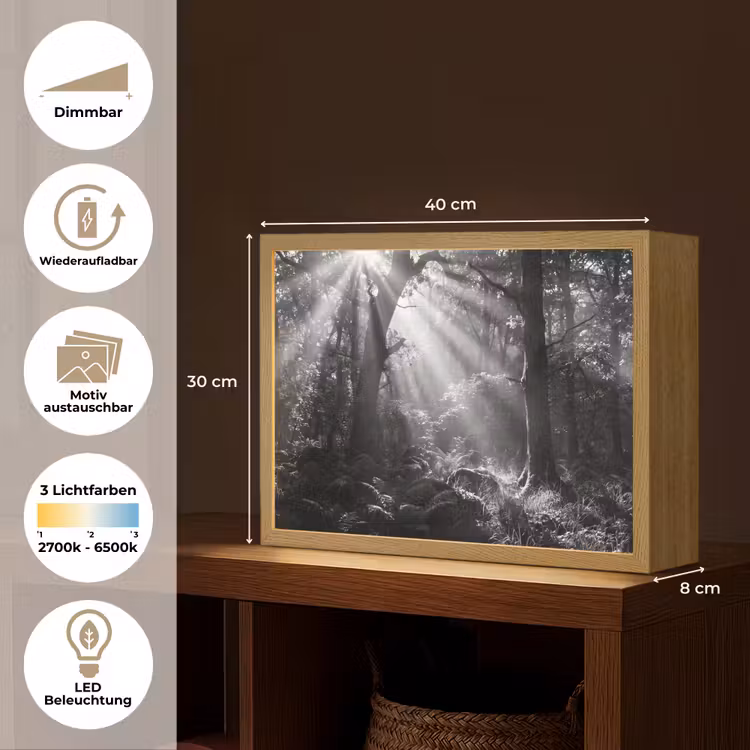 Bos - Lichtstralen - Natuur - Zwart-wit Light Box met batterij (Wandlamp) middel -USP_websiteoverzichtDE