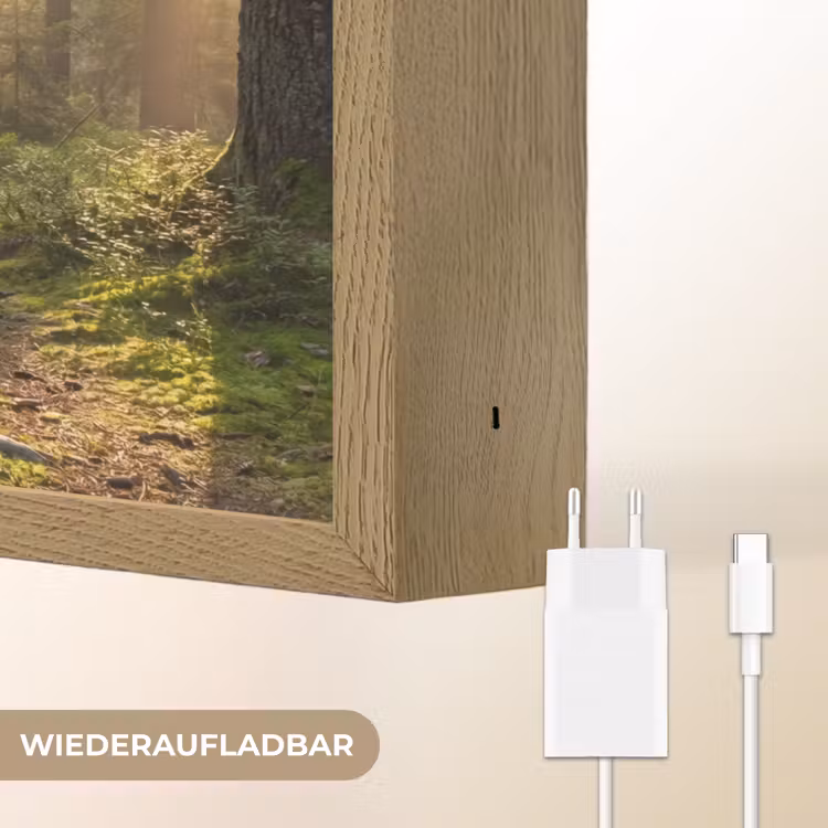 Bos - Zonlicht - Gras Light Box met batterij (Wandlamp) middel -USP_websiteoplaadbaarDE