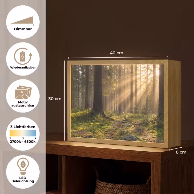 Bos - Zonlicht - Gras Light Box met batterij (Wandlamp) middel -USP_websiteoverzichtDE