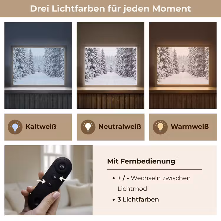 Bos - Winter - Sneeuw - Pad - Natuur Light Box met batterij (Wandlamp) middel -USP_lichtkleurDE