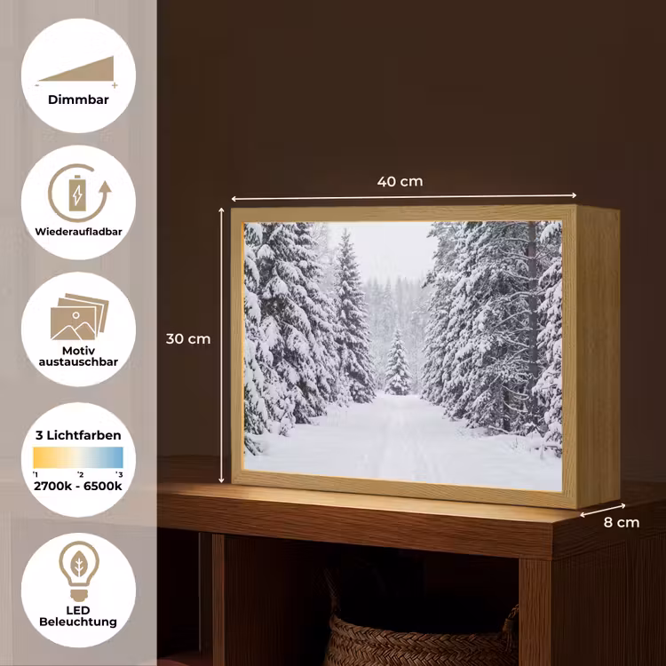 Bos - Winter - Sneeuw - Pad - Natuur Light Box met batterij (Wandlamp) middel -USP_websiteoverzichtDE