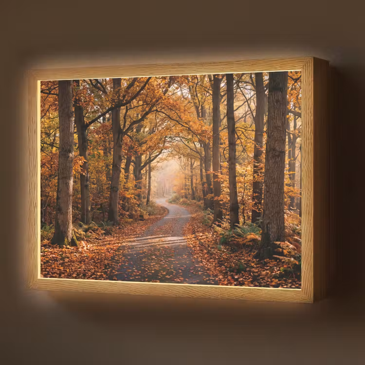Bospad - Herfstbos - Bladeren - Oranje - Nostalgisch Light Box met batterij (Wandlamp) middel -z3d_website