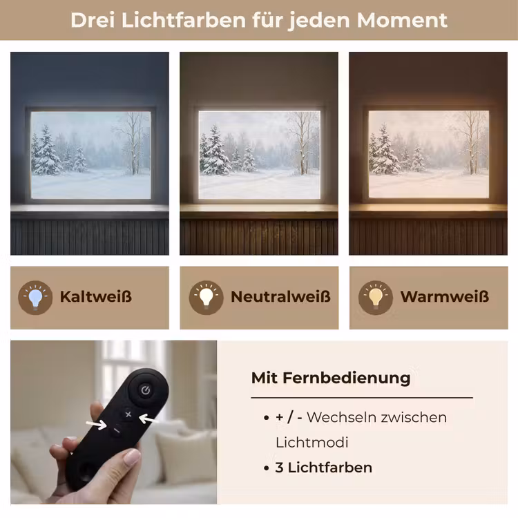 Bospad - Dennen - Sneeuw - Winter - Rustgevend Light Box met batterij (Wandlamp) middel -USP_lichtkleurDE