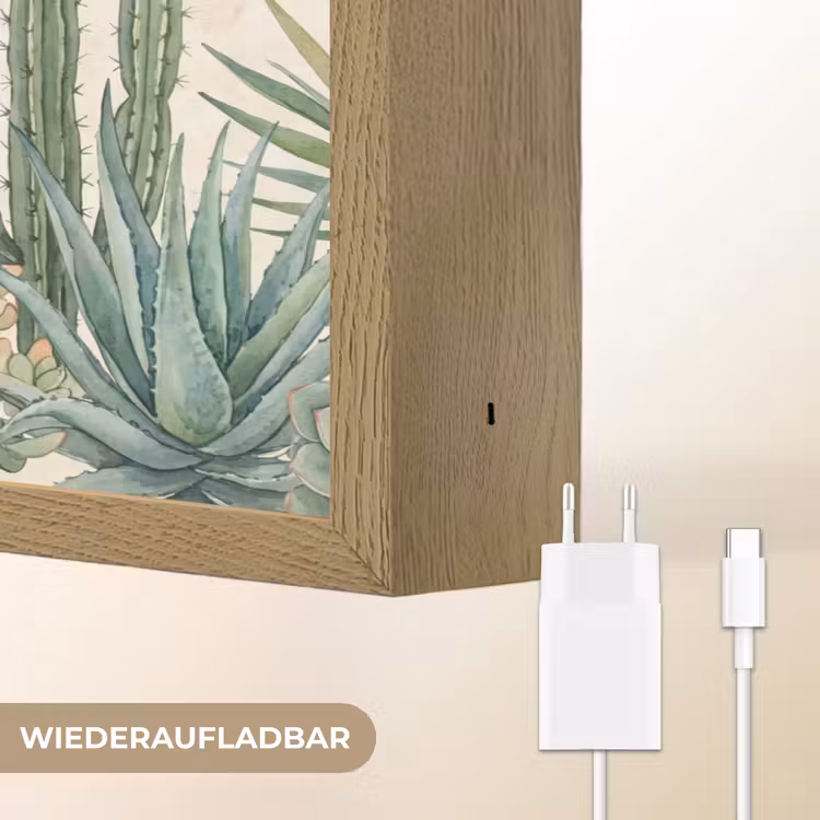 Woestijn - Planten - Groen Light Box met batterij (Wandlamp) middel -USP_websiteoplaadbaarDE