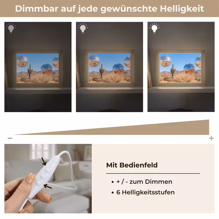 Lightbox - Wandleuchte - Wüste – Spiegelkugel – Kunst - Woestijn - Spiegelbal - Kunst Light Box met kabel (Wandlamp) klein