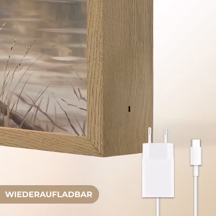 Winterkoninkje - Tak - Rivier - Natuur - Sfeervol Light Box met batterij (Wandlamp) middel -USP_websiteoplaadbaarDE