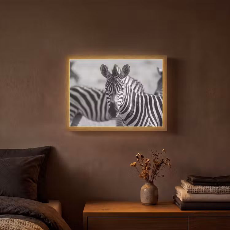 Zebra's - Zwart - Wit Light Box met batterij (Wandlamp) middel -sfeer4