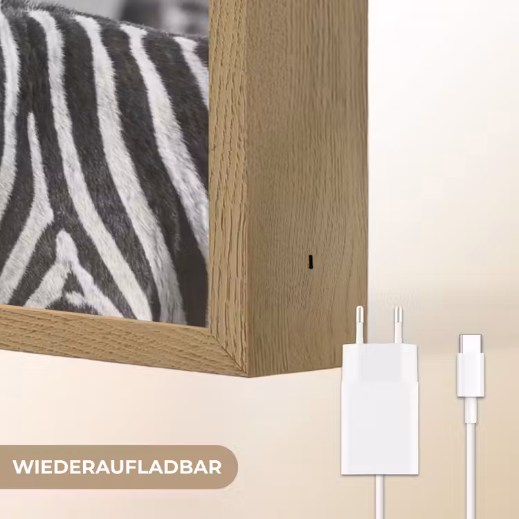 Zebra's - Zwart - Wit Light Box met batterij (Wandlamp) middel -USP_websiteoplaadbaarDE
