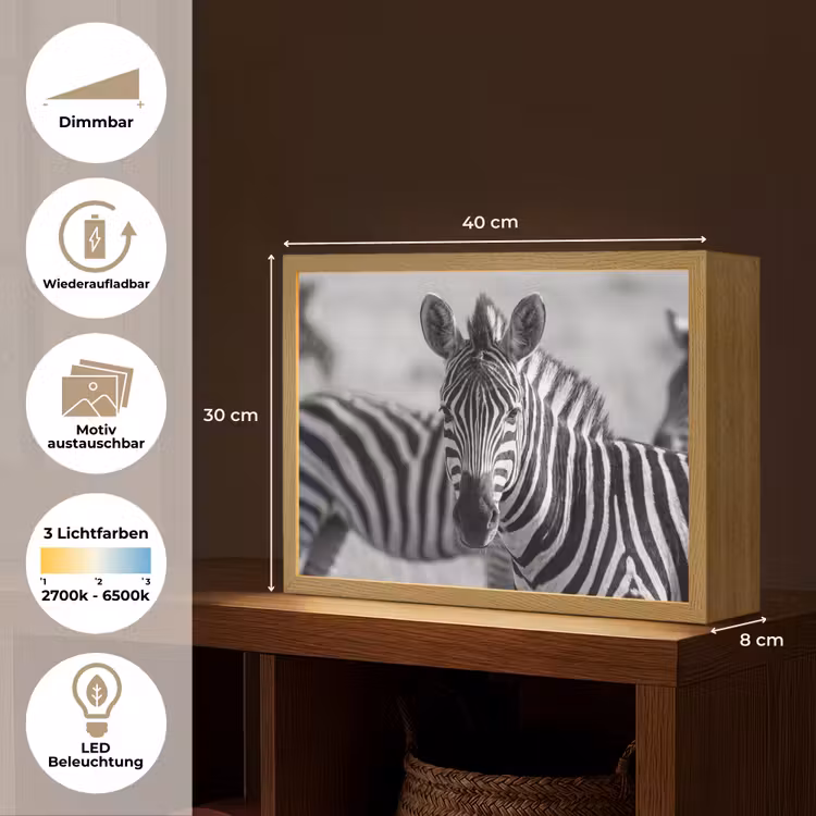 Zebra's - Zwart - Wit Light Box met batterij (Wandlamp) middel -USP_websiteoverzichtDE