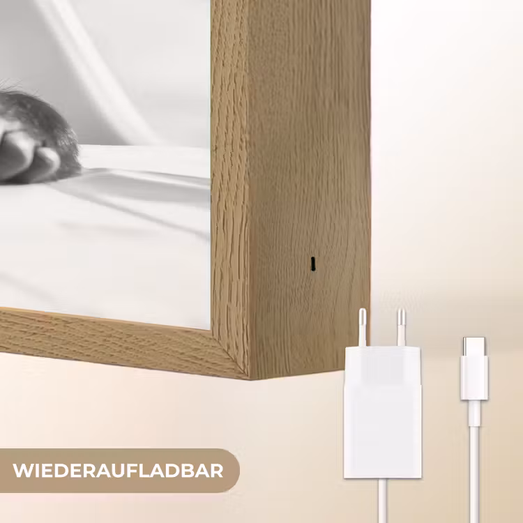 Aap - Spaghetti - Zonnebril - Zwart wit - Cool - Dier Light Box met batterij (Wandlamp) middel -USP_websiteoplaadbaarDE