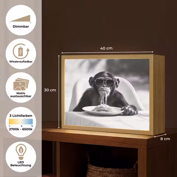 Aap - Spaghetti - Zonnebril - Zwart wit - Cool - Dier Light Box met batterij (Wandlamp) middel -USP_websiteoverzichtDE