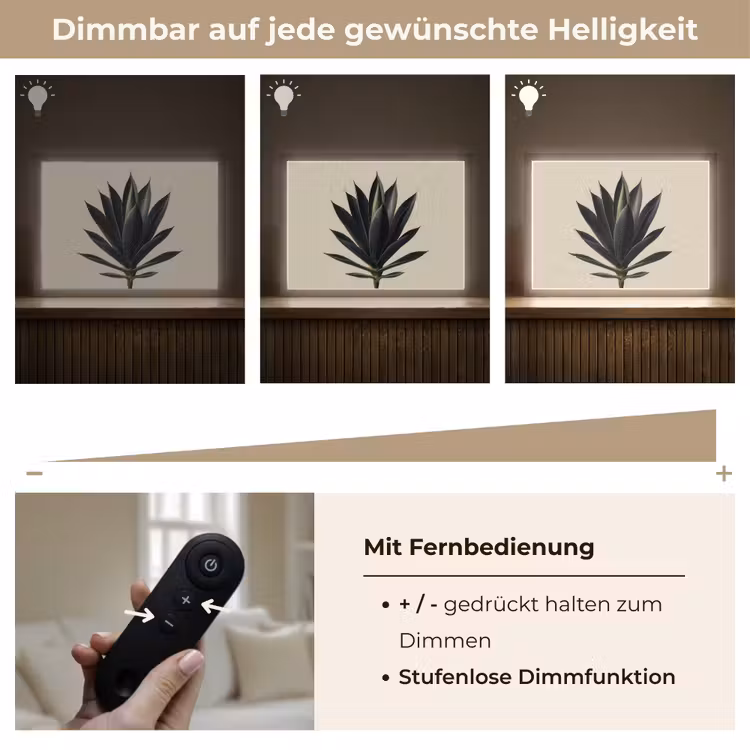 Agaveplant - Symmetrisch - Groen Light Box met batterij (Wandlamp) middel -USP_dimbaarDE